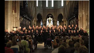 Urker mannenkoor Hallelujah zingt in de Kathedraal Notre Dame de Paris