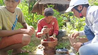 Spray video of the process of exploiting forest honey living with nature Lifestyle