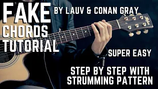 FAKE by Lauv & Conan Gray Acoustic Guitar Chords Tutorial + Lesson for Beginners /Experts