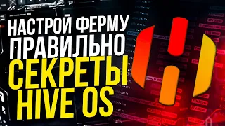 Как правильно настроить майнинг ферму. Секреты и cоветы Hive OS. Настройка майнинг фермы