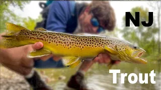 New Jersey’s Hidden Gem Trout Spots! - Fall Fishing Techniques (How to Catch Em’)