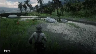 Red Dead Redemption 2 disable guarma sniper (My find)