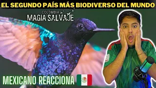 COLOMBIA MAGIA SALVAJE🇨🇴 [MEXICANO REACCIONA]🇲🇽 (parte 1) *Quedé sorprendido*😱