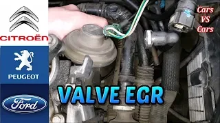 EGR Valve Disassembly and cleaning of the on Citroen C3