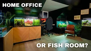 THE NEW MJ AQUASCAPING STUDIO! Home Office /Fish Room Tour