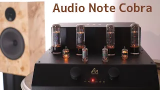 Audio Note Cobra. Unboxing and First Impressions. #audionote