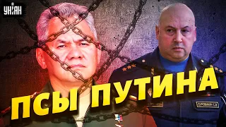 Цепные псы. Путин придумал особую роль Шойгу и Суровикину – Цимбалюк