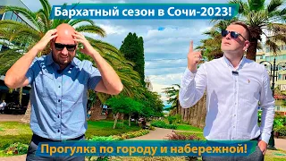 Бархатный сезон в Сочи-2023!