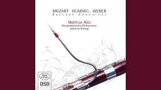 Bassoon Concerto in F Major, Op. 75, J. 127: I. Allegro ma non troppo