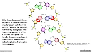 TSC2022 - Concurrent 12 - - Subcellular correlates of consciousness