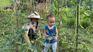 Single mother harvests boiled corn to sell. Weeding the garden.| Du Duyên daily life