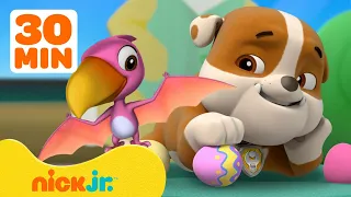 PAW Patrol Rescue Baby Animals! w/ Chase, Marshall, Rocky & Skye | 30 Minute Compilation | Nick Jr.