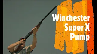 Winchester SXP: A Pump Gun for Every Use and Budget