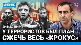 ШАРП: У террористов был план сжечь весь «Крокус». Чем события 22 марта не похожи на работу ИГИЛ