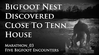 Bigfoot Nest Found Near Tenn Home - Marathon_03. Five Bigfoot Encounters.