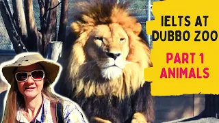 EPIC ANIMALS and WILDLIFE -  IELTS PART 1 SPEAKING with a NATIVE SPEAKER on safari  /Subtitles