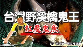 生態系列｜南投半夜獵鬼！紀錄驚險過程，為了拍片不要命了 Ft. @gtvworldsno1