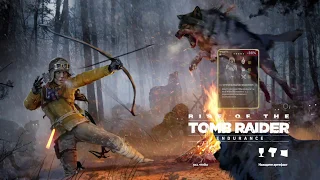 TOMB RAIDER / ВЫЖИТЬ ЛЮБОЙ ЦЕНОЙ!