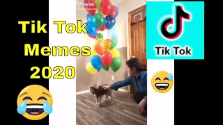 The Most Popular Videos Funny Tik Tok US UK MEMES COMPILATION Of The Month 2020