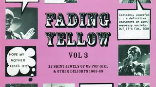 Fading Yellow Vol. 3 (22 Shiny Jewels Of US Pop-Sike & Other Delights 1965-69)