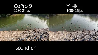Тест сравнение GoPro 9 vs Yi 4k Action Camera (Xiaomi)