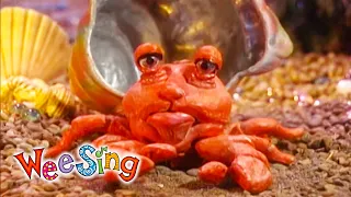 I'm a Hermit Crab | Wee Sing
