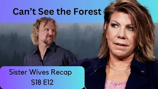 Sister Wives | S18 E12 Can't See the Forest