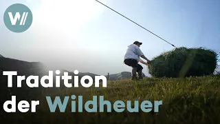 Steile Tradition: Die Wildheuer der Schweizer Bergweiden