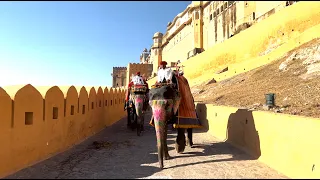 Форт Амбер - величественный дворец-крепость / Золотой треугольник / India 2023