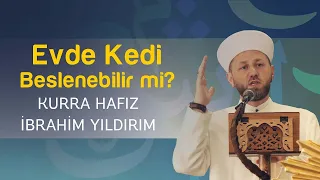 Evde Kedi Beslenebilir mi? l İbrahim Yıldırım