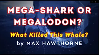 Mega Shark or Megalodon - What Killed This Whale?
