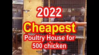 How to build a cheap chicken house for 500 chicken | Cheap Chicken Coop | Chicken house design