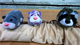 MEGA BURP! Zhu Zhu Pets and Our Snake Puppet.