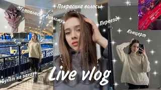 Моя продуктивная неделя//live vlog//поездка на концерт/покрасила волосы/переезд/сертификат тренера