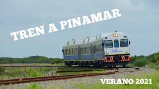 Tren a PINAMAR Verano 2021 - Cómo viajar + Imagenes por los campos de Madariaga
