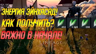 Lineage 2m: ЭНЕРГИЯ ЭЙНХАСАД  КАК ПОЛУЧИТЬ? ПОЧЕМУ ЭТО ВАЖНО ЗНАТЬ В НАЧАЛЕ? ВИТАЛКА ГАЙД Лайнедж 2м