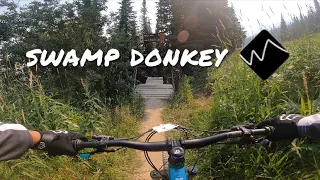 Swamp Donkey | Kicking Horse mountain resort