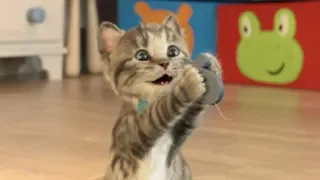 Litle Kitten Alone At Home - Kids Cartoons Games | Funny Videos