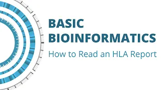 Basic Bioinformatics: How to Read an HLA Typing Report