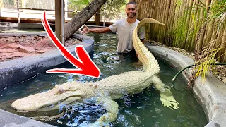 ENCOUNTER With HUGE RARE ALBINO GATOR?! SHOULD I GET ONE ?