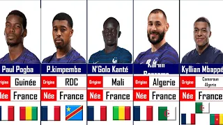 Pays d'origine des joueurs de l'équipe de France