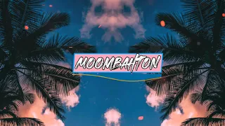 Afro & Latin Music Mix 2021 🍉 Best of Moombahton, Dancehall, Basshall, Twerk, Afro House & Latin