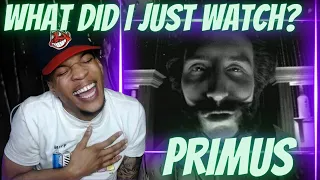 WHAT IN THE WORLD!? FIRST TIME HEARING PRIMUS - TOMMY THE CAT | REACTION