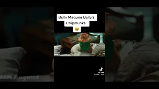 Bully Maguire bullies chipmunks