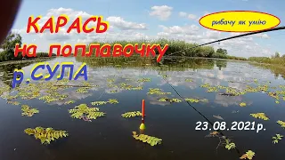 КАРАСЬ в кінці літа.р. СУЛА