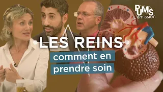 Comment protéger ses reins ? Insuffisance rénale, maladie rénale, calcul rénal, colique néphrétique