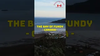 Bay of Fundy: Witness the World's Largest Tides | #Shorts