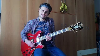 Johnny B. Goode - Guitar Solo - Chuck Berry