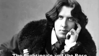 The Nightingale and the Rose (audiobook) (Oscar Wilde)