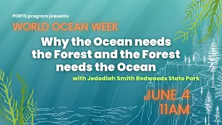 WORLD OCEAN WEEK: Why the Ocean needs the Forest and the Forest needs the Ocean!